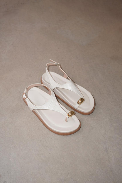 PAP0729881-OFFCROCO-39