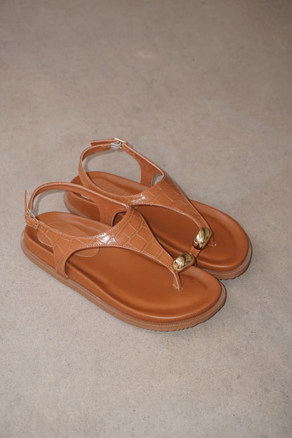 PAP0729881-CARAMELOCROCO-37