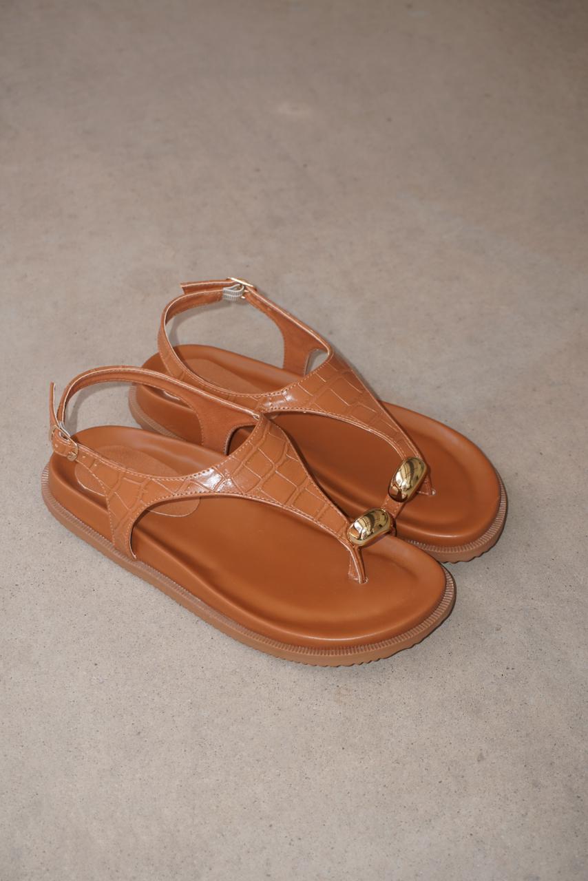 PAP0729881-CARAMELOCROCO-39